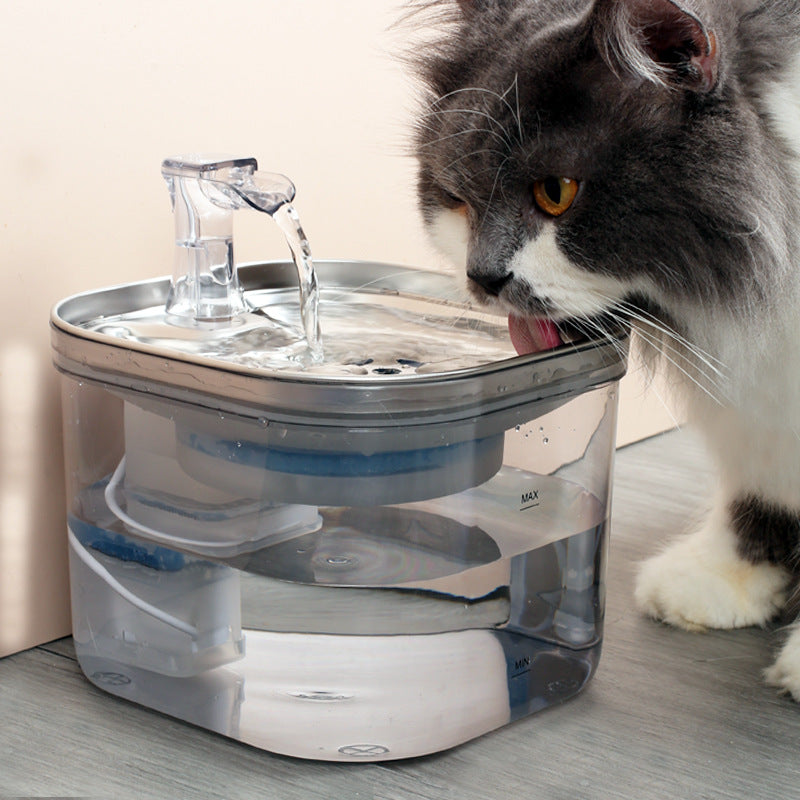 Chat buvant à la fontaine à eau RENEOS équipée de son filtre