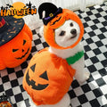 RENEOS Halloween pumpkin cat hat